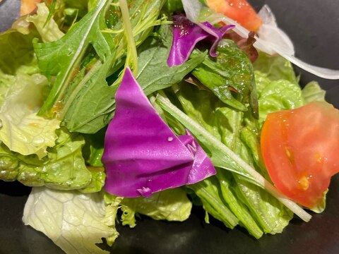 紫キャベツと緑野菜のサラダ